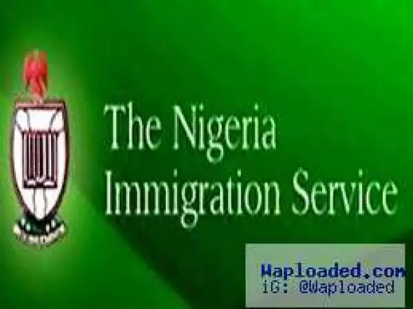 Jonathan’s Ministers Now Returning Diplomatic Passports – Immigration CG